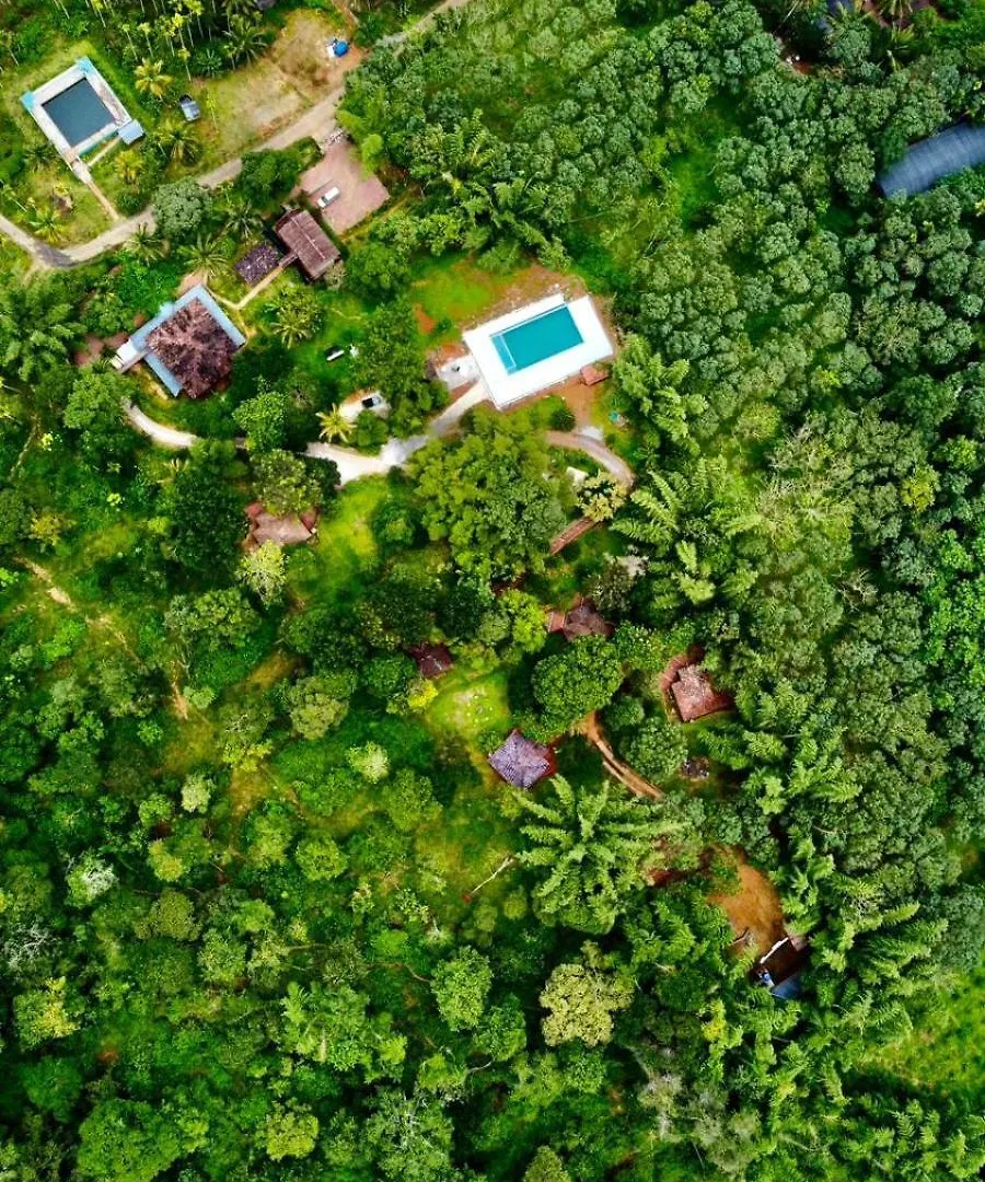 Misty Night Jungle Side Resort Pulpally