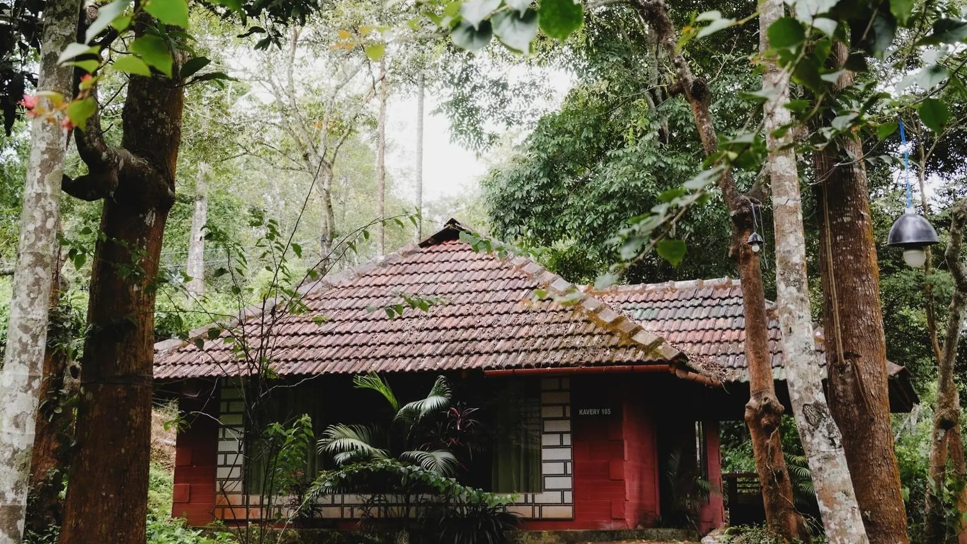 Guest house Misty Night Jungle Side Resort Pulpally