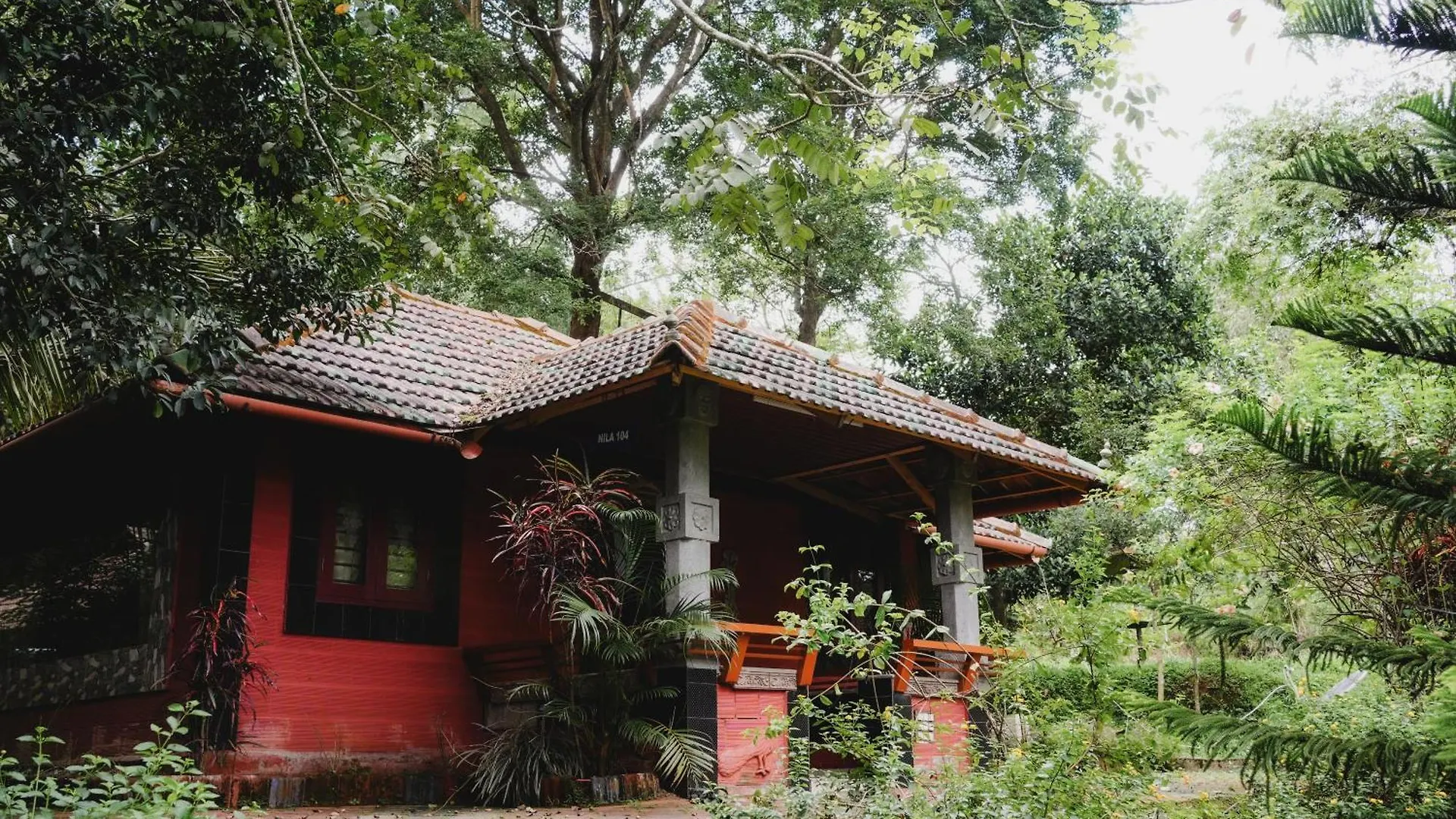 Guest house Misty Night Jungle Side Resort Pulpally