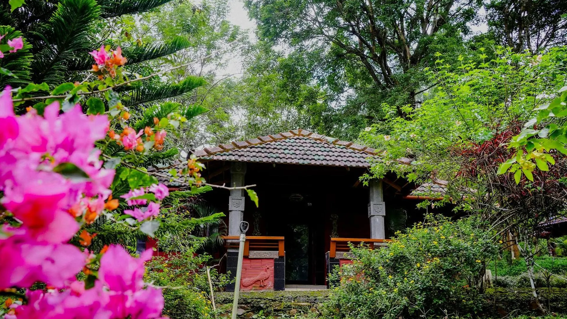 Misty Night Jungle Side Resort Pulpally Guest house