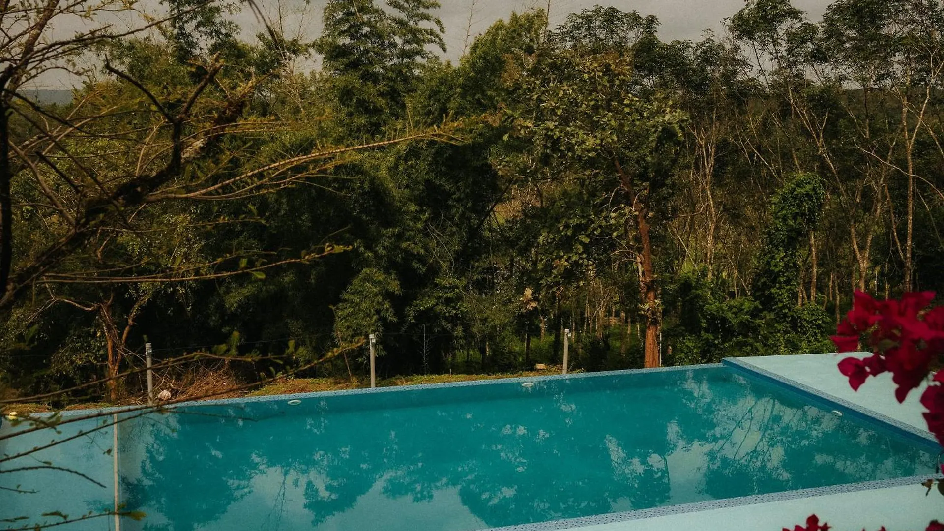 Misty Night Jungle Side Resort Pulpally Guest house