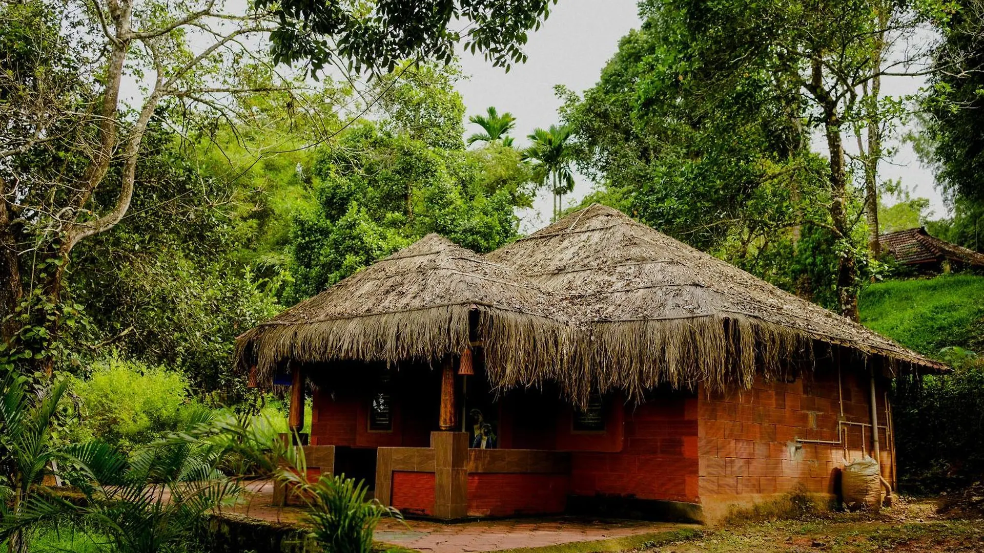 Misty Night Jungle Side Resort Pulpally 0*,  India