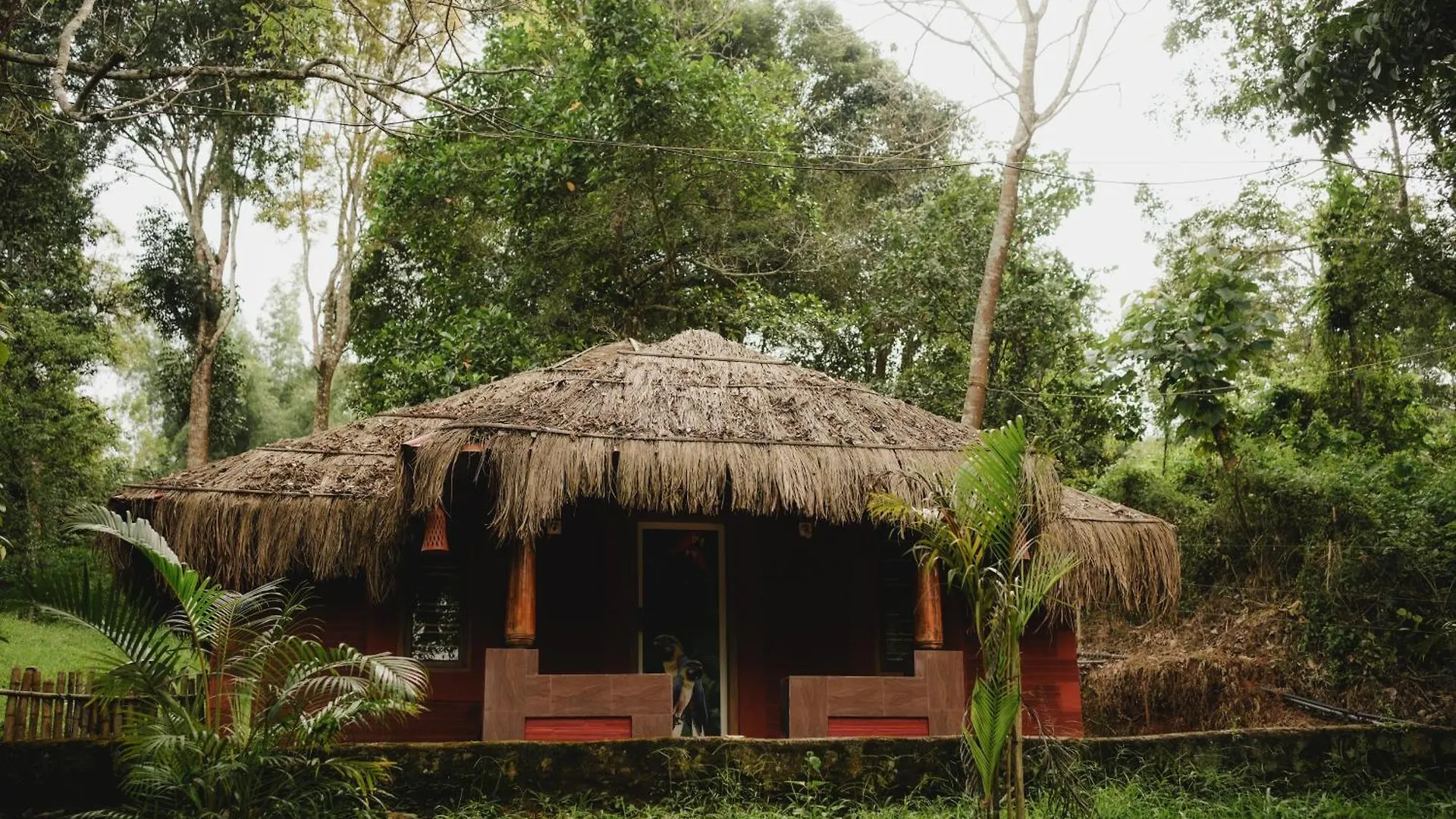 Misty Night Jungle Side Resort Pulpally India