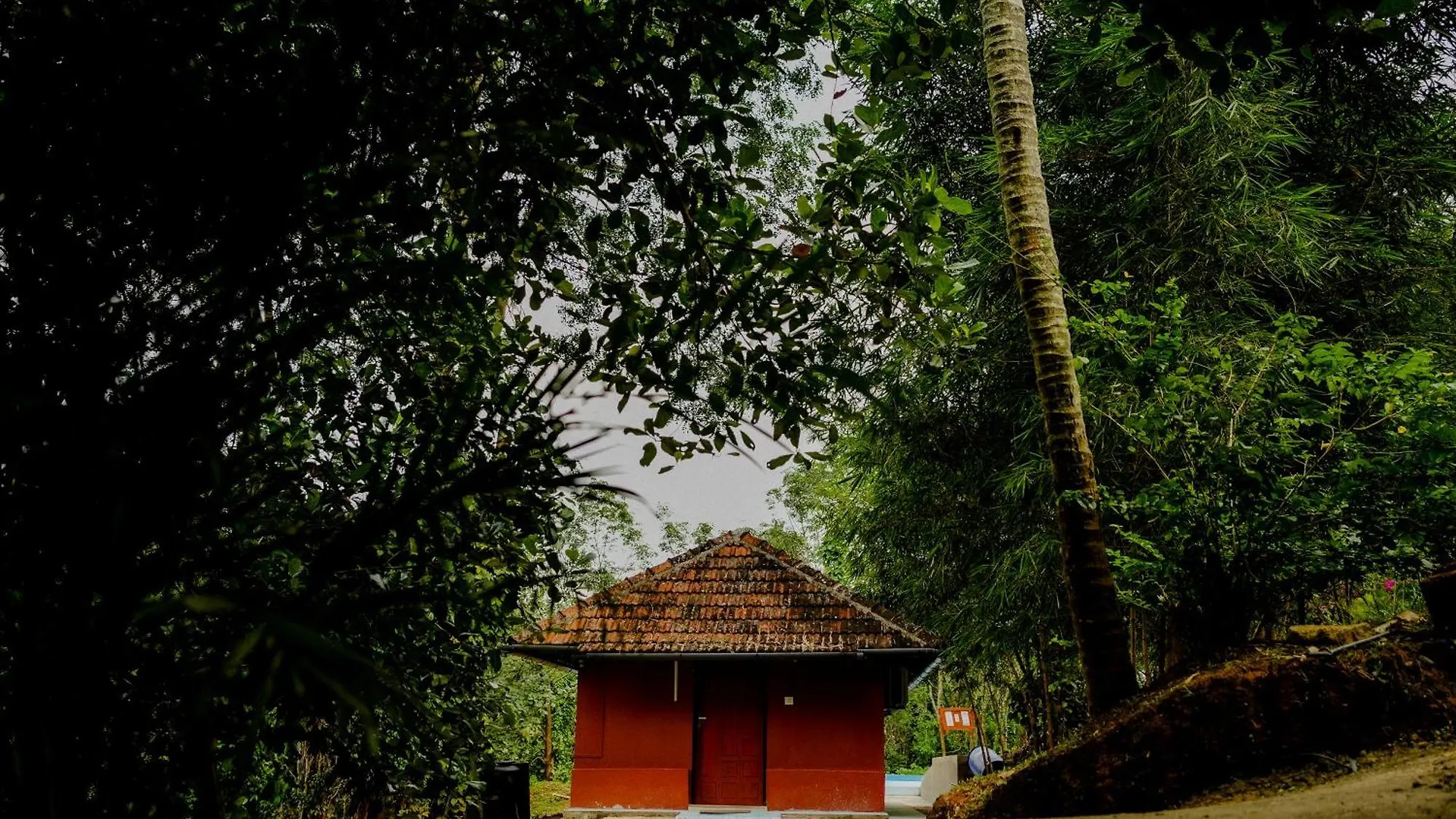 Misty Night Jungle Side Resort Pulpally