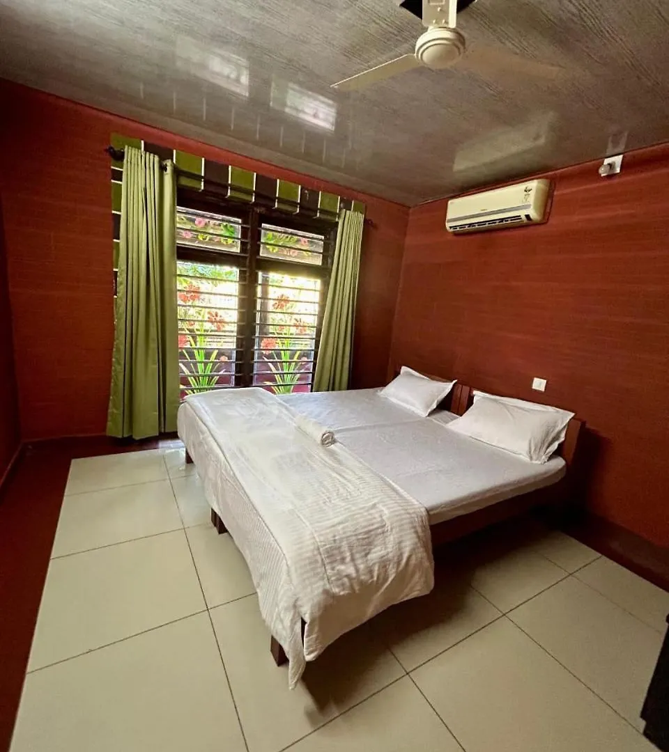 Misty Night Jungle Side Resort Pulpally