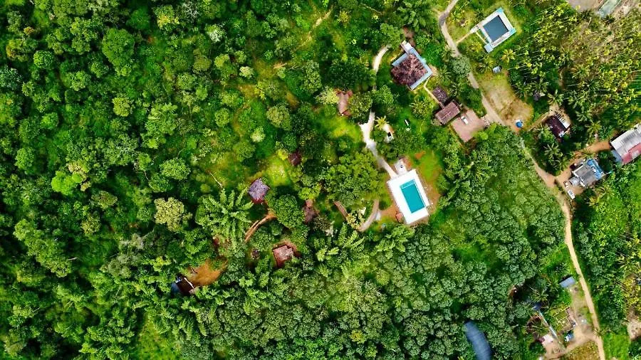 Misty Night Jungle Side Resort Pulpally Guest house
