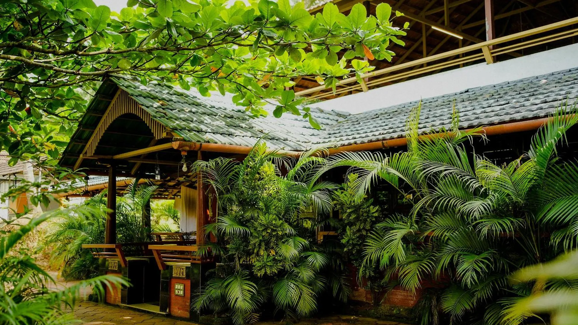 Casa de hóspedes Misty Night Jungle Side Resort Pulpally