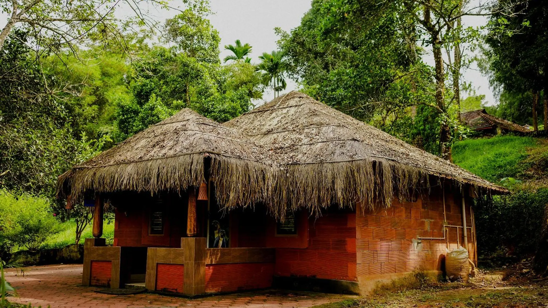 Guest house Misty Night Jungle Side Resort Pulpally